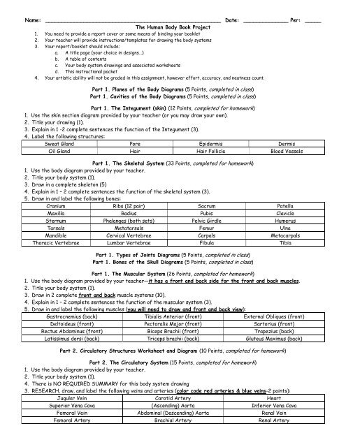 vertebrae worksheet for high school