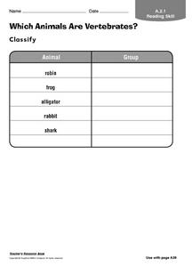 vertebrae worksheet for high school