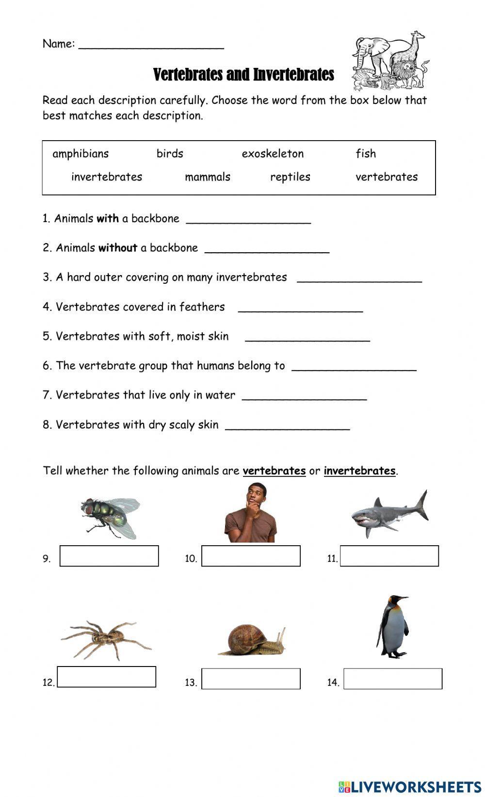 Vertebrates and Invertebrates online pdf activity for 4 | Live ...