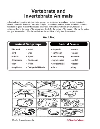 vertebrate worksheet answers
