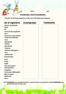 Vertebrate Lesson Plans &  Worksheets Reviewed by Teachers