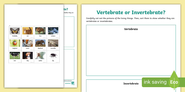 Vertebrate or Invertebrate Sorting Worksheet (teacher made)