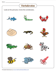 vertebrates and invertebrates worksheet pdf