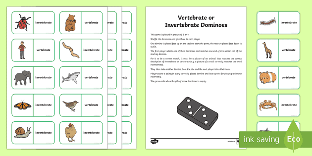 vertebrates and invertebrates worksheet pdf