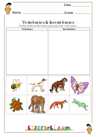 Vertebrates and Invertebrates Worksheets,EVS Worksheets ...
