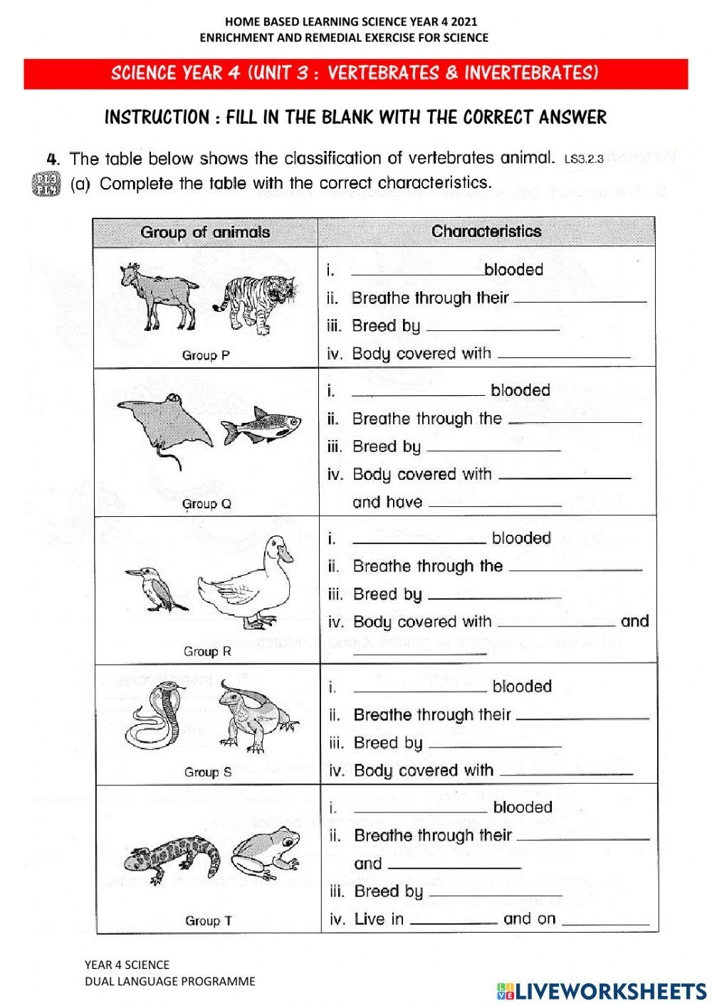 vertebrates and invertebrates worksheet