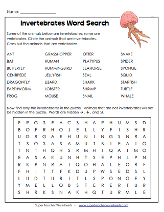 vertebrates and invertebrates worksheet