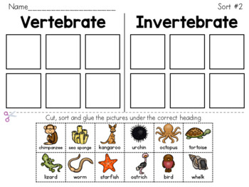 vertebrates invertebrates worksheet