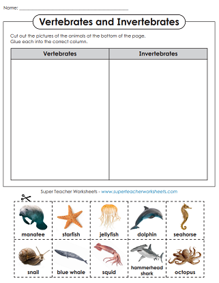 Science: Animal Worksheets