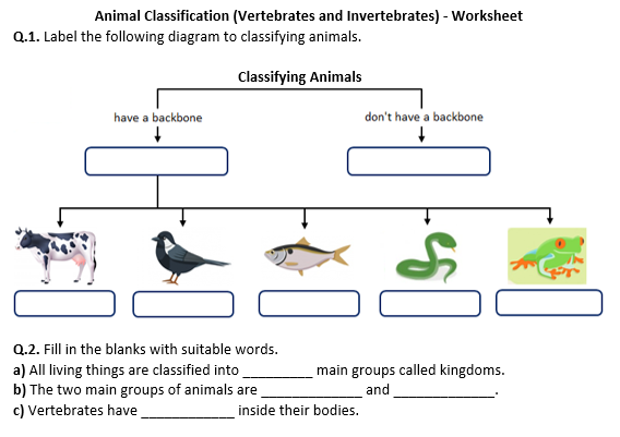 Animal Classification (Vertebrates and Invertebrates) | Distance ...