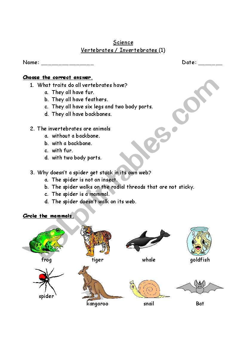 vertebrates invertebrates worksheet