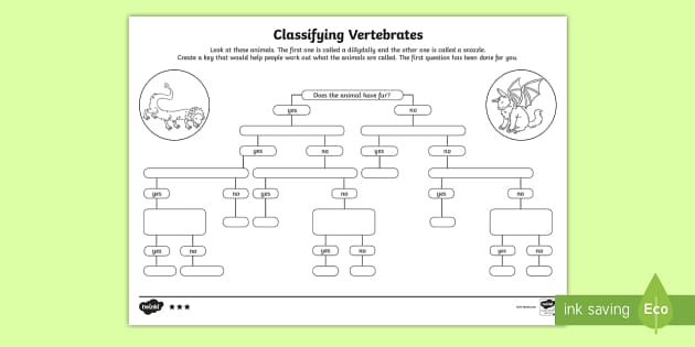vertebrates invertebrates worksheet