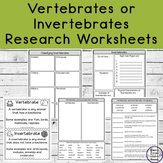 Vertebrates and Invertebrates Research Worksheets - Simple Living ...