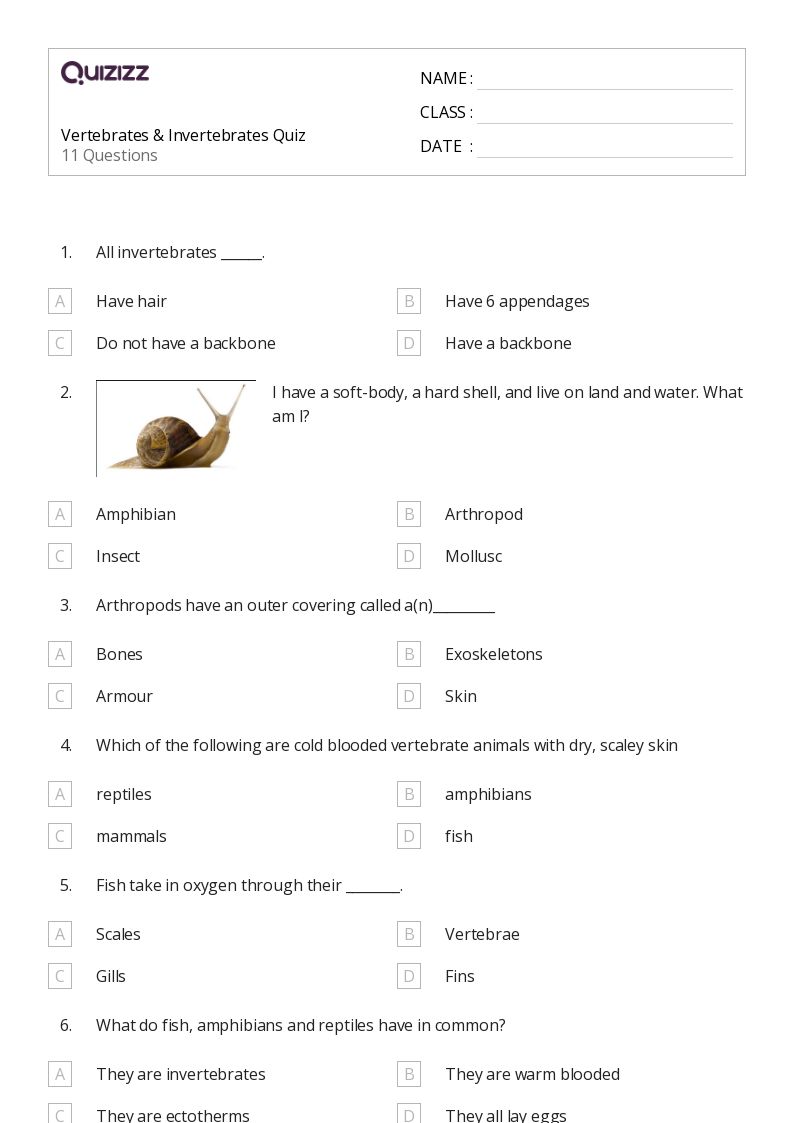 50+ vertebrates and invertebrates worksheets on Quizizz | Free ...