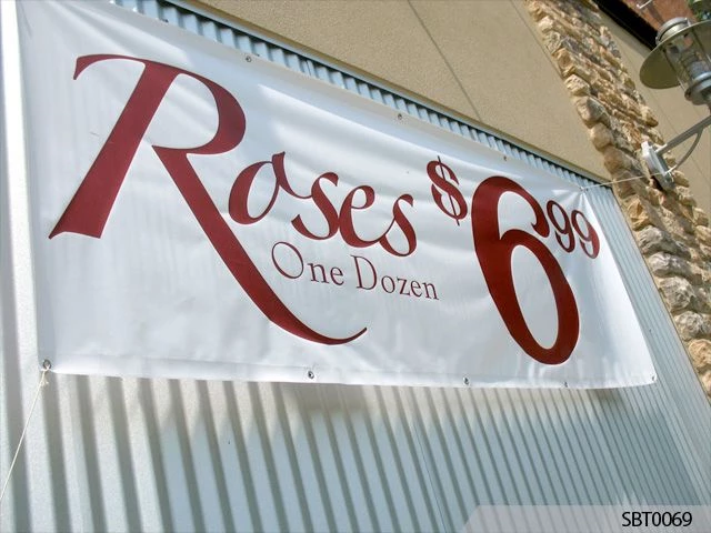 vinyl printing gainesville fl