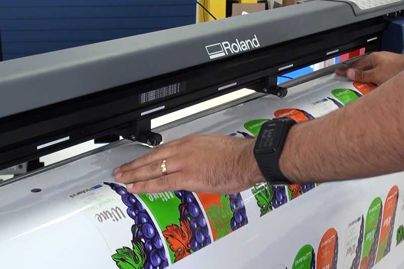 Vinyl Boss Lady Printing soaring to greater heights | Auto ...