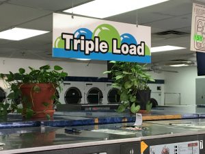 vinyl printing kingston