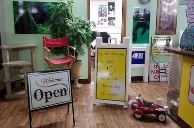 vinyl printing knoxville