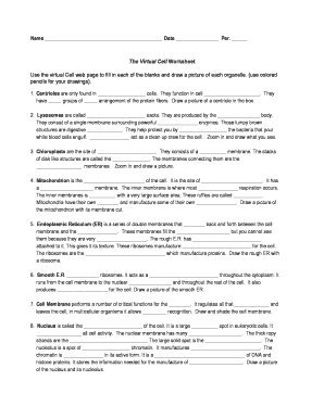 The Virtual Cell Worksheet Answer Key Fill Online Printable