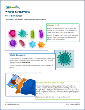 virus worksheet