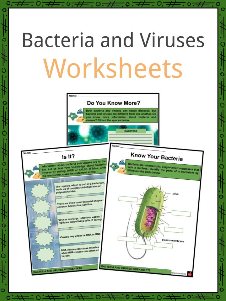 Bacteria and Viruses Facts, Worksheets &  Basic Information For Kids