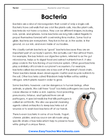 Bacteria and Virus Worksheets