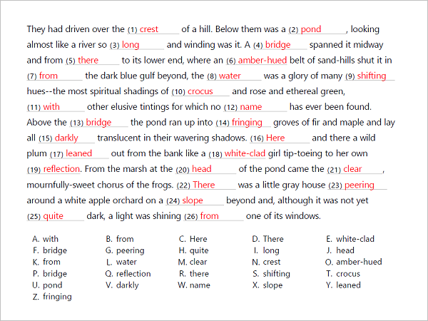 Vocabulary Worksheet Maker and Activity Generator