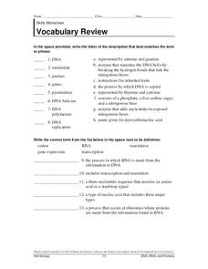 DNA Vocabulary Review Worksheet for 10th - Higher Ed | Lesson Planet