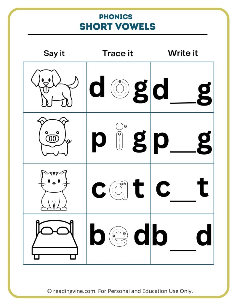 vowel worksheet for 1st grade