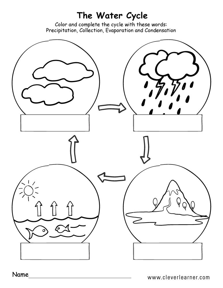 Free Printable Water Cycle Worksheets for All Grades