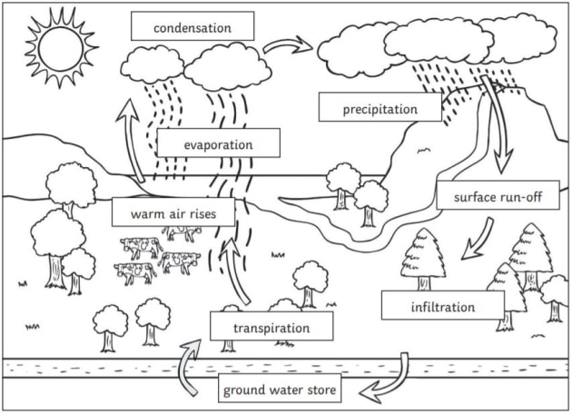water cycle 2nd grade worksheet
