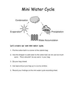 Water Cycle Interactive Worksheet For Grade Live Worksheets, 58% OFF