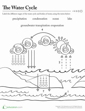 Water Works | Worksheet 
