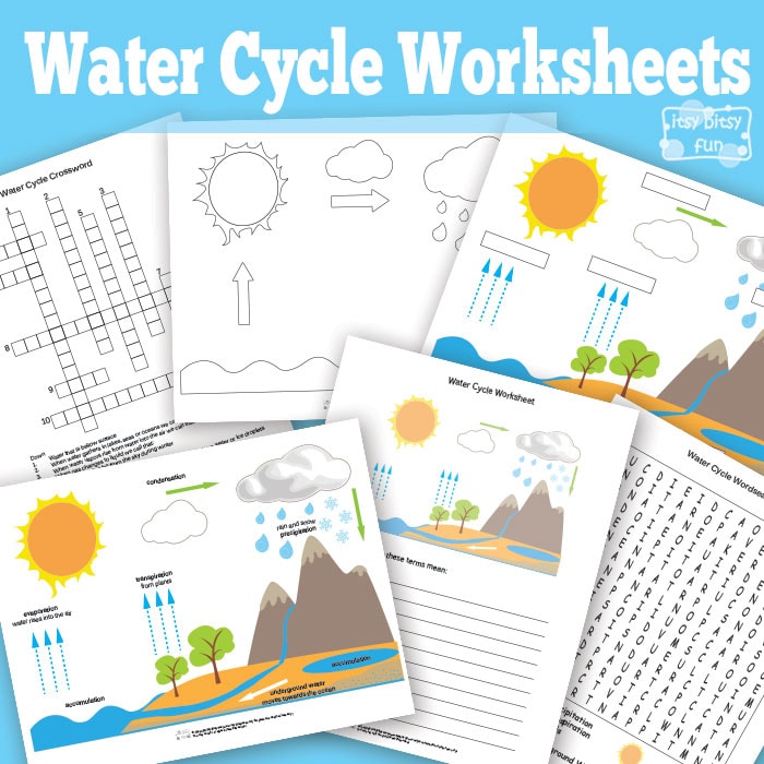 Free Printable Water Cycle Worksheets + Diagrams - Itsy Bitsy Fun
