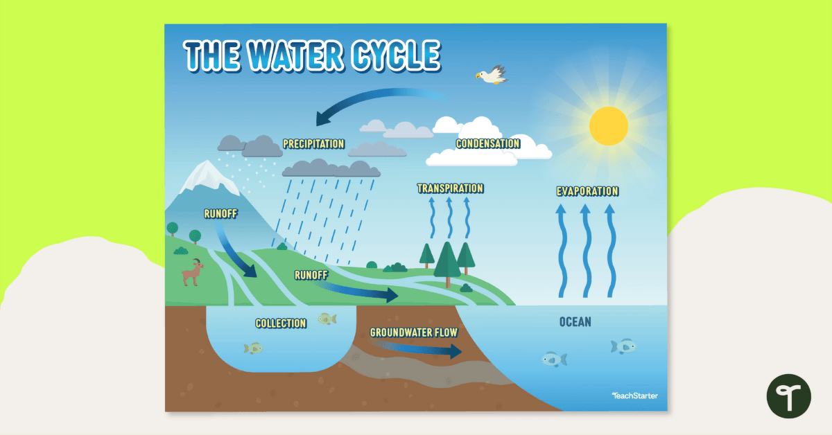 water cycle diagram worksheet