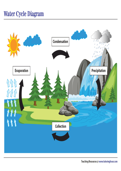 water cycle diagram worksheet