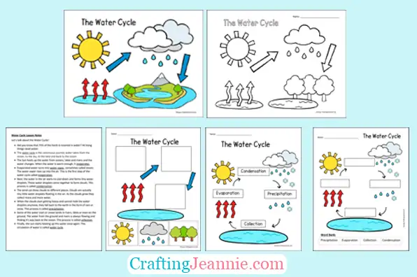 Sette sammen Chamber Sentrum labeled water cycle diagram ro deg ...