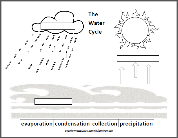6th Grade The Water Cycle! - Ms. Sylvesters Science Page
