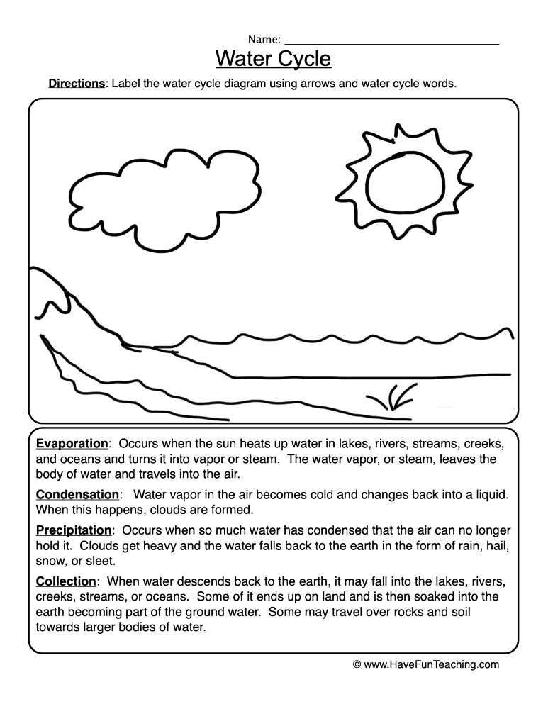Water Cycle Worksheet  
