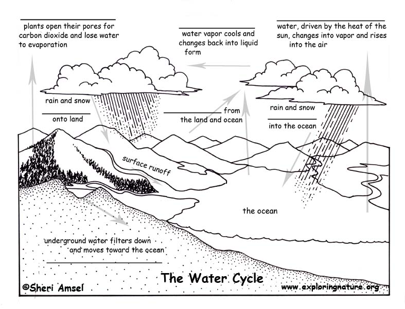 water cycle questions worksheet