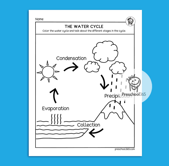 water cycle worksheet for kids