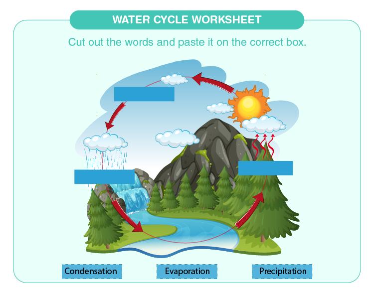 water cycle worksheet for kids