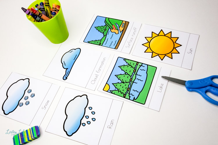 Water Cycle Worksheets for Kids