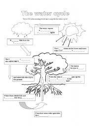 water cycle worksheet high school pdf