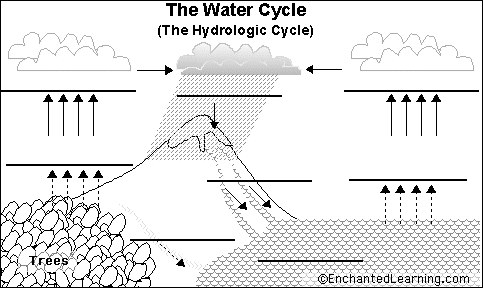 Water Cycle fill in chart with vocab at the bottom | Water cycle ...