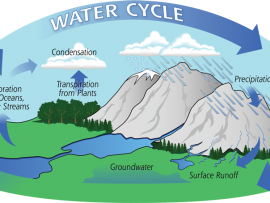 water cycle worksheet middle school