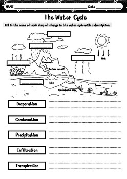 The Water Cycle Worksheet - 1 page by Juthathip Yimsawat | TPT