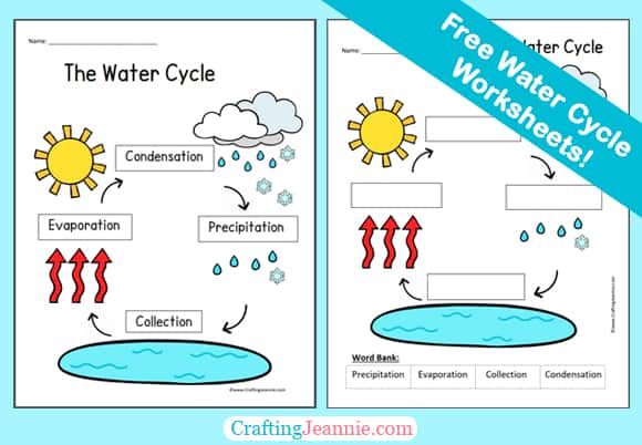 Water Cycle Worksheets (Free PDF) - Crafting Jeannie