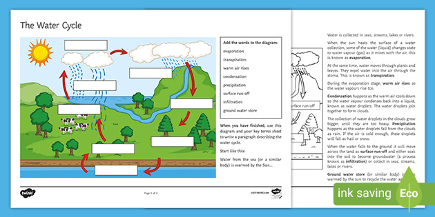 Explain the Water Cycle in your Own Words Worksheet - Twinkl
