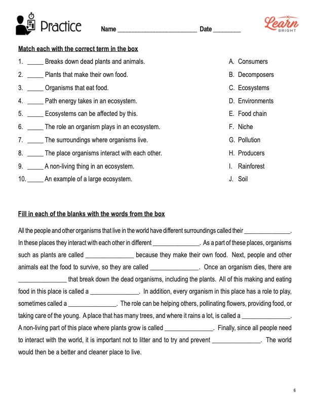 Ecosystems and Environments, Free PDF Download - Learn Bright